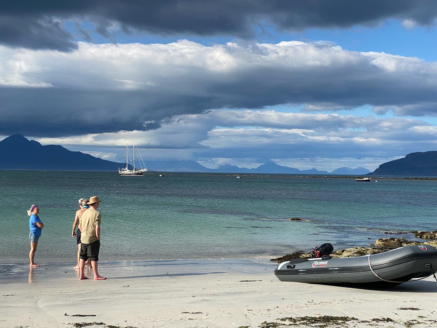 Dolfijn bij een zeilschip tijdens een zeilreis in Schotland met uitzicht op de Highlands