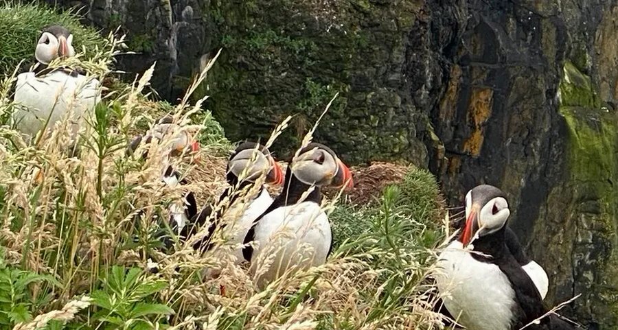8-26 Ontdek de Outer Hebrides: van Ullapool naar Stornoway  - Steady Sailing